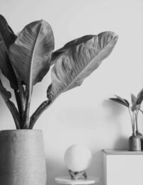 Centro Psicologico, quienes somos, Inicio